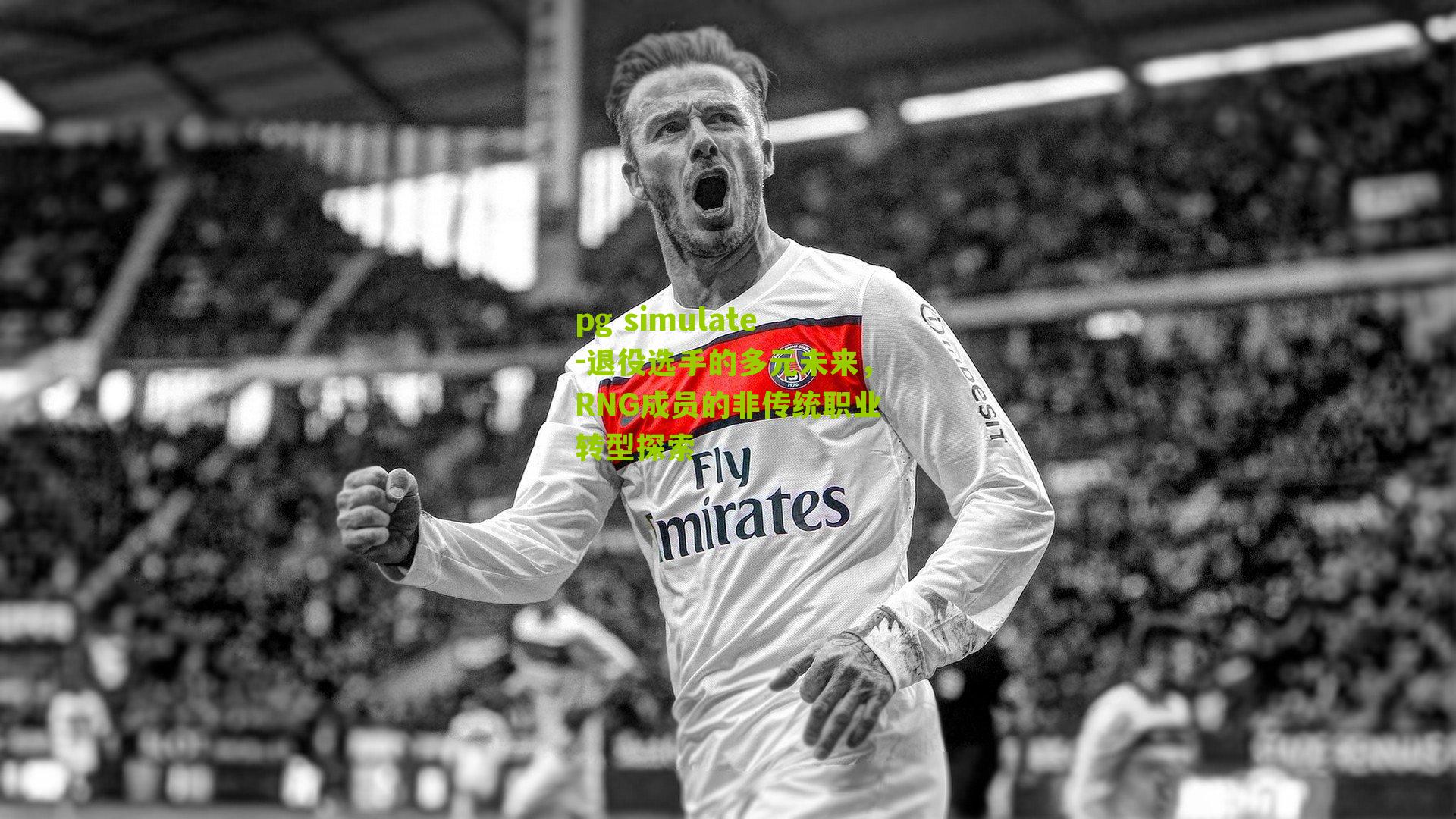pg simulate-退役选手的多元未来，RNG成员的非传统职业转型探索