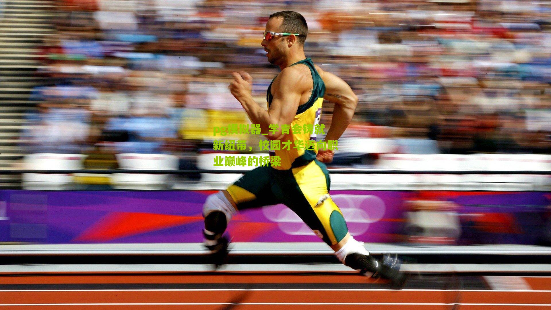 pg模拟器_学青会铸就新纽带，校园才华迈向职业巅峰的桥梁