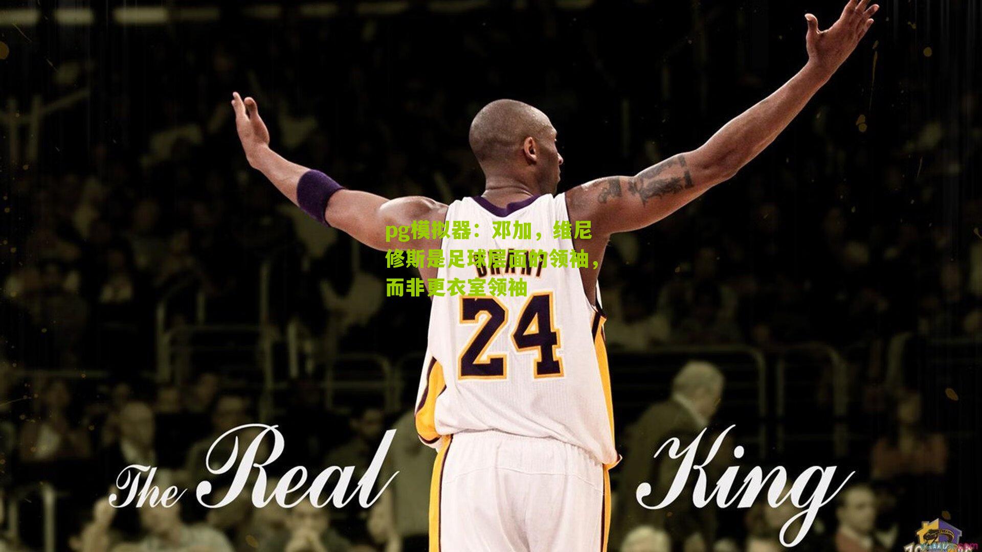 邓加，维尼修斯是足球层面的领袖，而非更衣室领袖